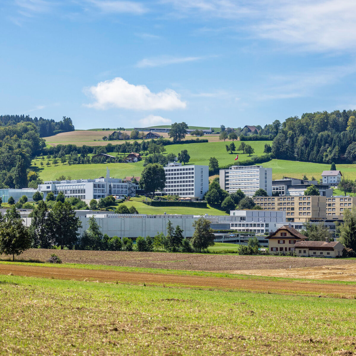 Galerie Umgebung